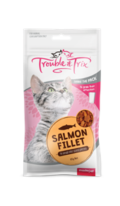 Cat Treats - Salmon Fillet